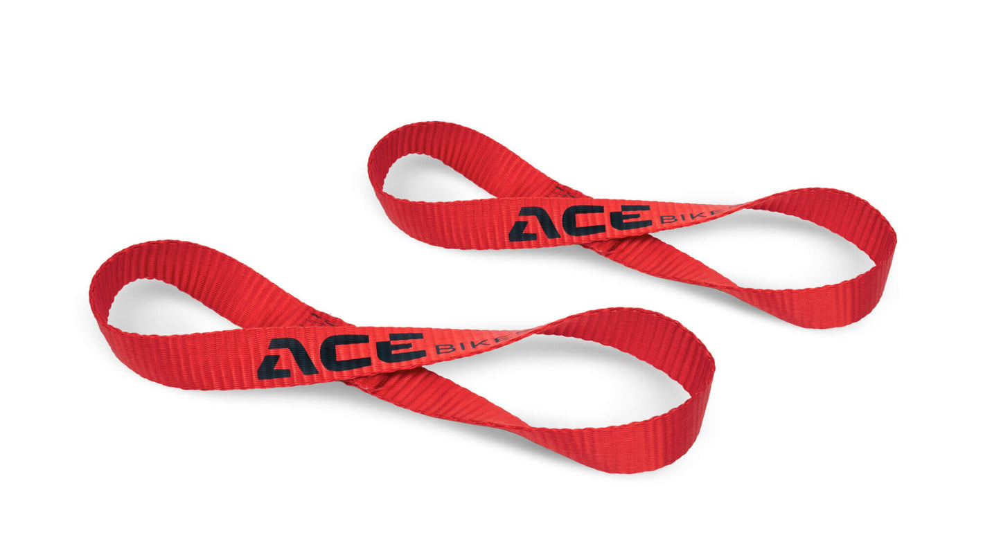 ACEBIKES cam buckle pro 2-pack