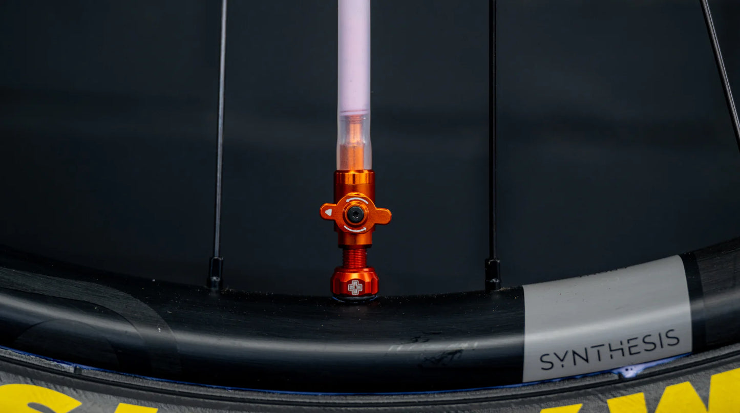 Muc-Off Big Bore Lite Tubeless Ventielen, Iriserend 45mm - Nauwkeurig Ontworpen Stofkapjes voor Fietsen met Luchtstroom-Technologie - Presta Ventiel Doppen voor Tubeless MTB/Racefiets/Gravelbike Muc-Off Big Bore Lite Tubeless Ventielen, Iriserend 45mm - Nauwkeurig Ontworpen Stofkapjes voor Fietsen met Luchtstroom-Technologie - Presta Ventiel Doppen voor Tubeless MTB/Racefiets/Gravelbike