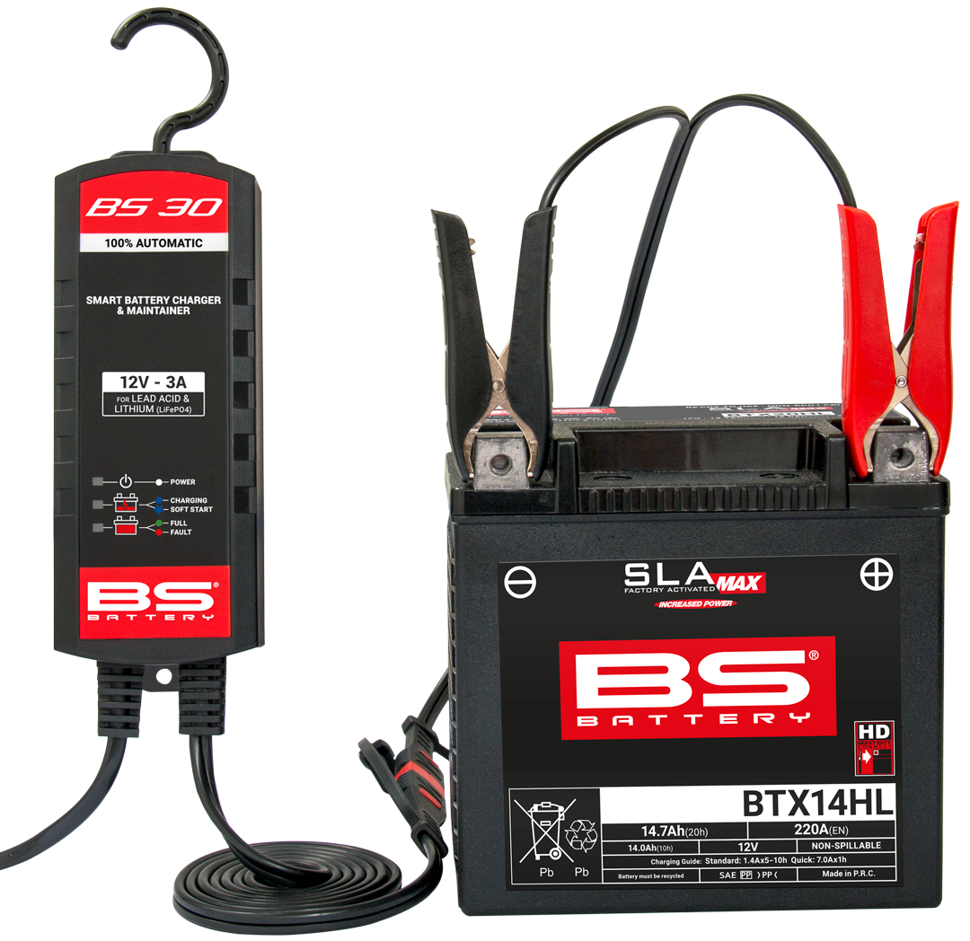 BS BATTERY BS 30 - op een lood accu