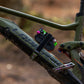 Muc-Off Utility Frame Strap