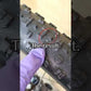 Video SUMART sealant repareert 6mm gat in fietsband real-time