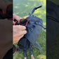 CHOIKE Randobag instructie video