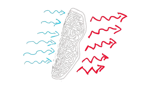 SERYT kniebescherming ventilatie en pasvorm detail